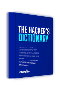 Hackers Dictionary 3D form graphic